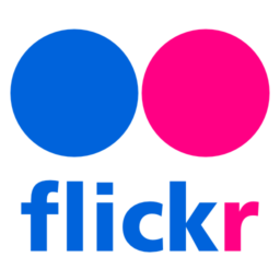 Flickr Icon